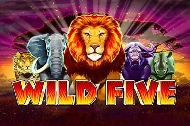 Five Wild Slot